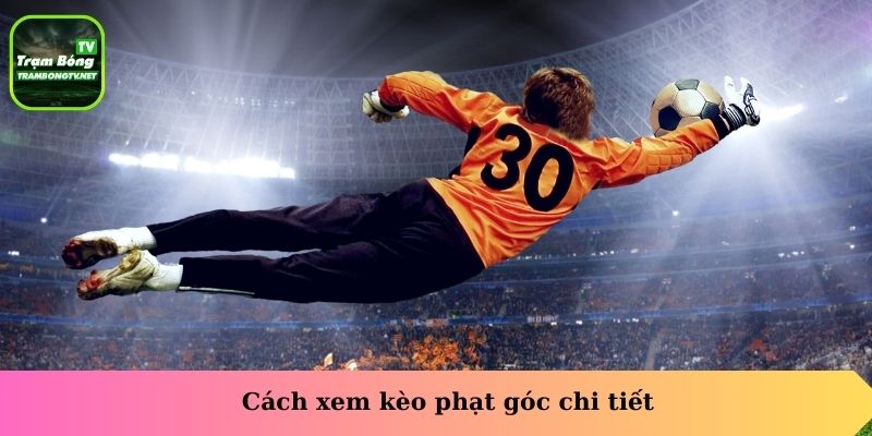 Cách xem kèo phạt góc chi tiết