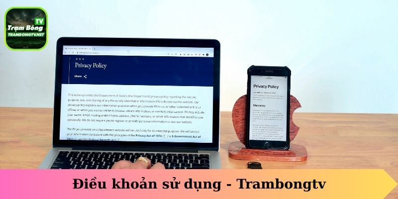 Điều khoản sử dụng - Trambongtv