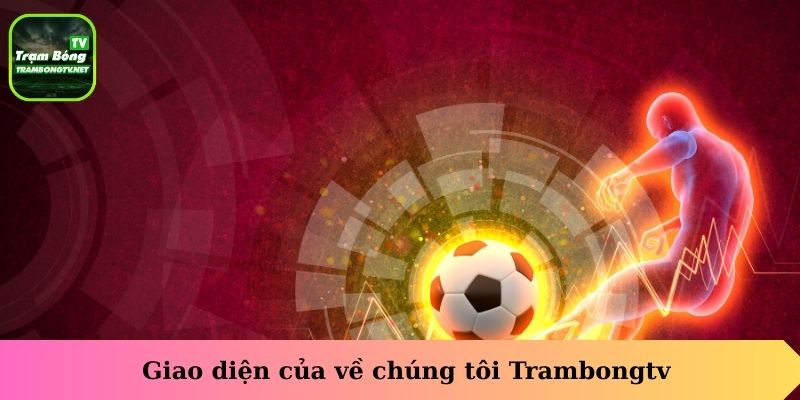 Giao diện của về chúng tôi
