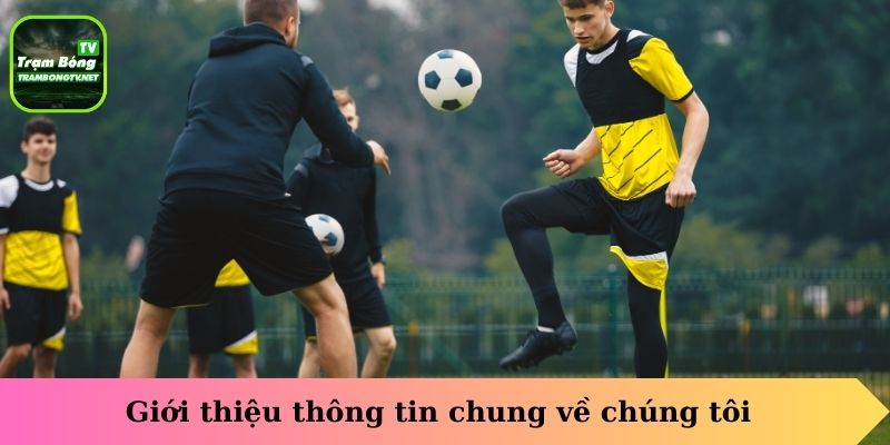 Giới thiệu thông tin chung về chúng tôi