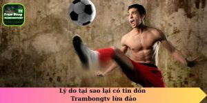 Lý do tại sao lại có tin đồn TrambongTV lừa đảo