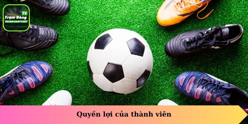 Quyền lợi của thành viên