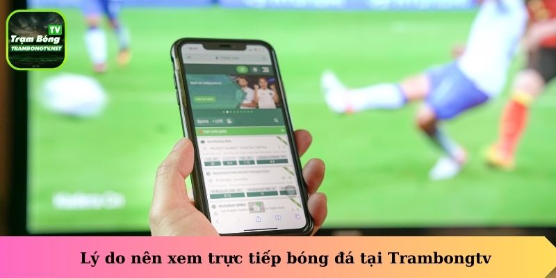 Lý do nên xem trực tiếp bóng đá tại Trambongtv