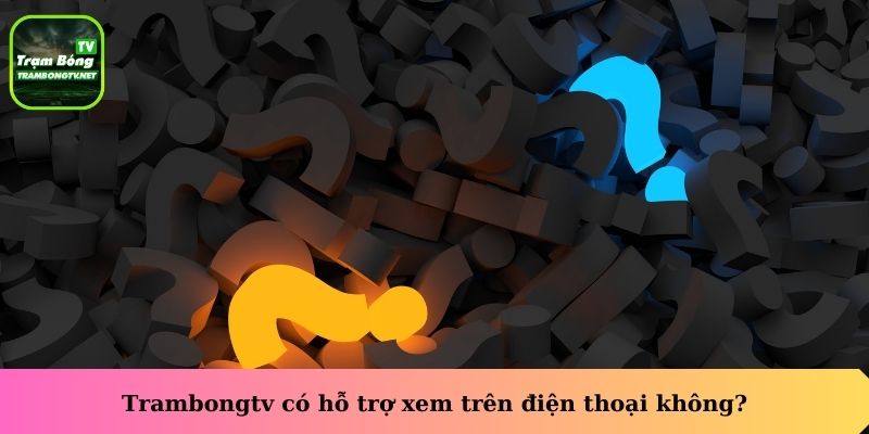 Trambongtv có hỗ trợ xem trên điện thoại không?