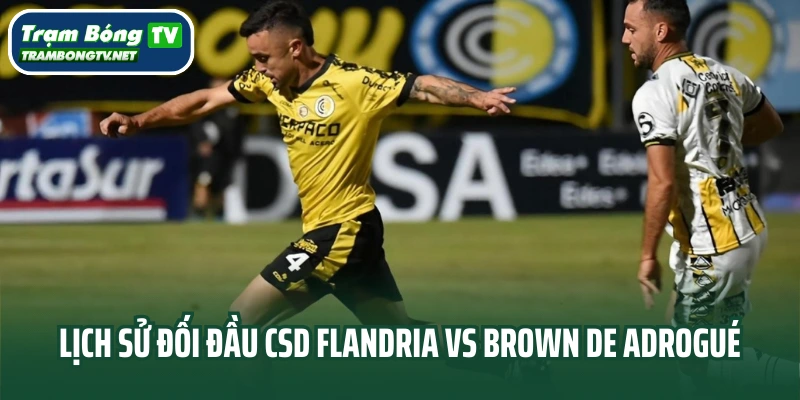 Lịch sử đối đầu của CSD Flandria vs Brown de Adrogué