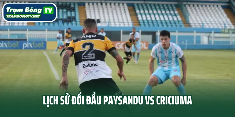 Lịch sử đối đầu Paysandu vs Criciuma